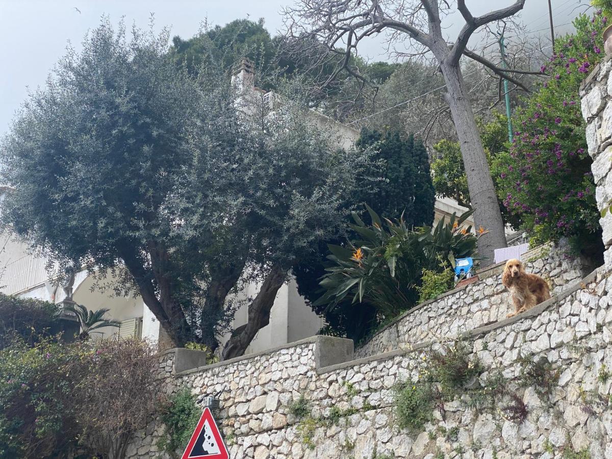 Regina Di Capri - Suite Vista Faraglioni Buitenkant foto