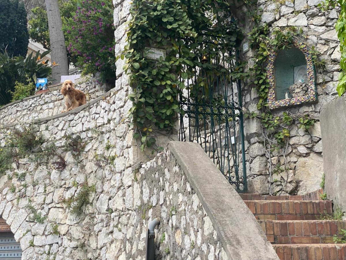 Regina Di Capri - Suite Vista Faraglioni Buitenkant foto
